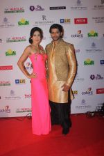 Teejay Sidhu, Karanvir Bohra at Smile Foundation show with True Fitt & Hill styling in Rennaisance on 15th March 2015